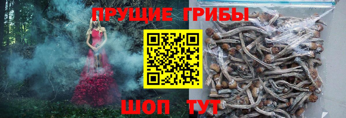 Галлюциногенные грибы мицелий  Вход с VPN  Карталы 